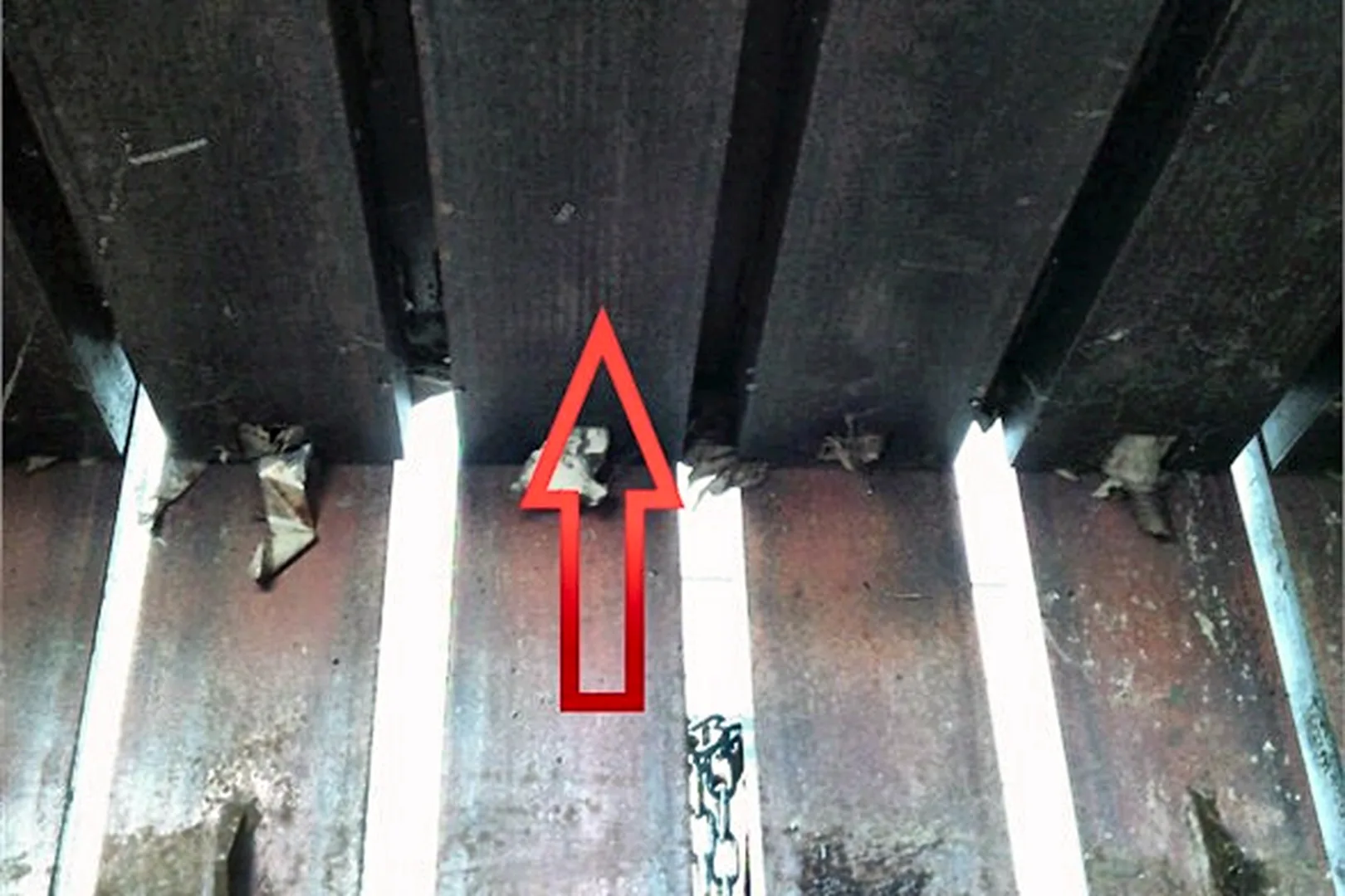 2011 BACE V63HD - view 6 of 16