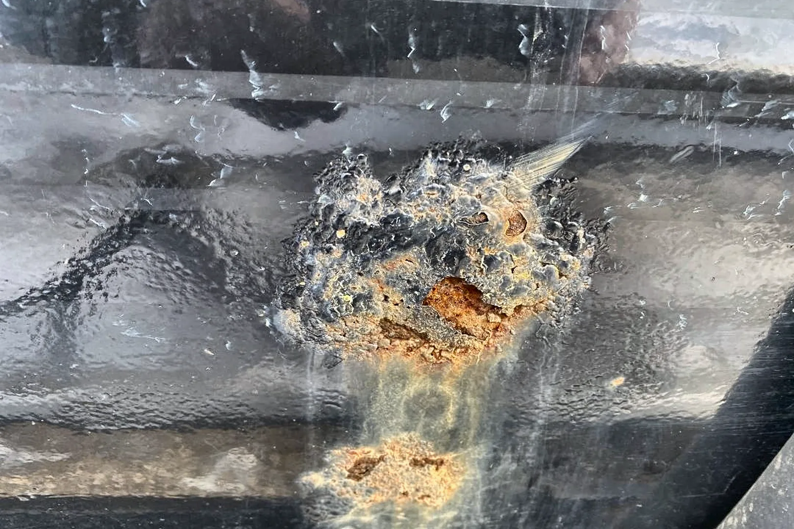 1980 PRESVAC SYSTEMS PVT5000 - view 16 of 31