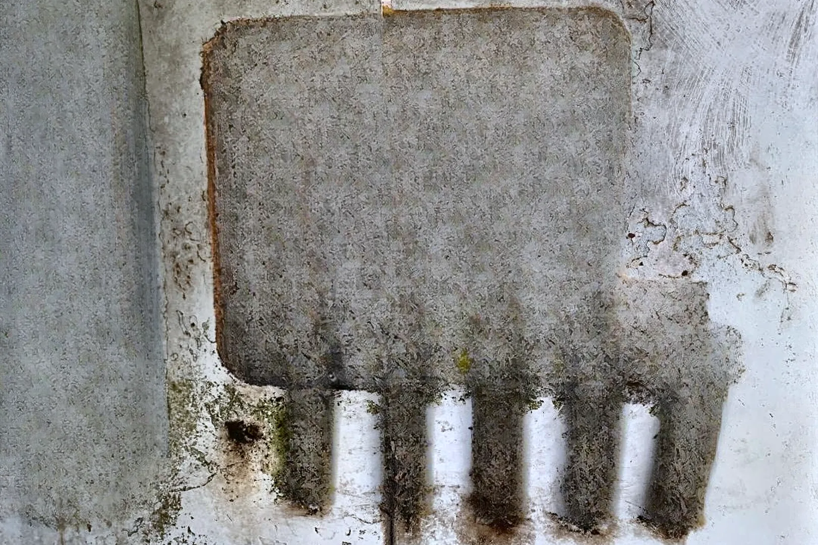 1974 BUCYRUS-ERIE H-5 - view 15 of 21