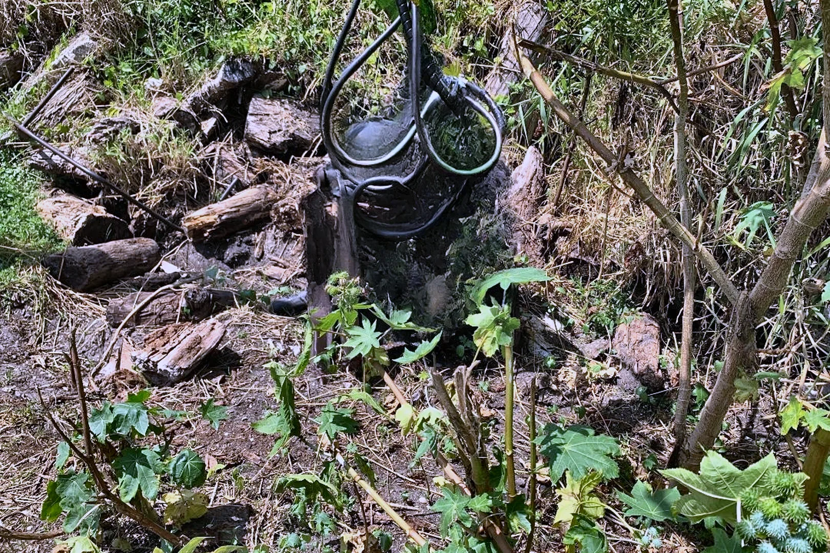 1998 FHE PH13-HD/2-750 - view 14 of 16