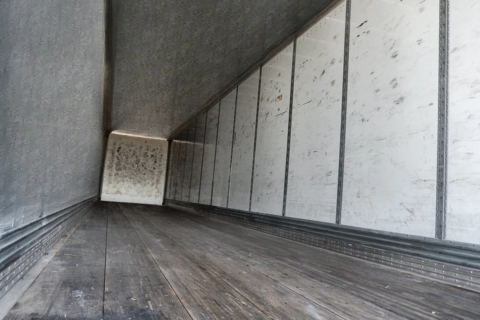 2019 VANGUARD VXP - view 10 of 34