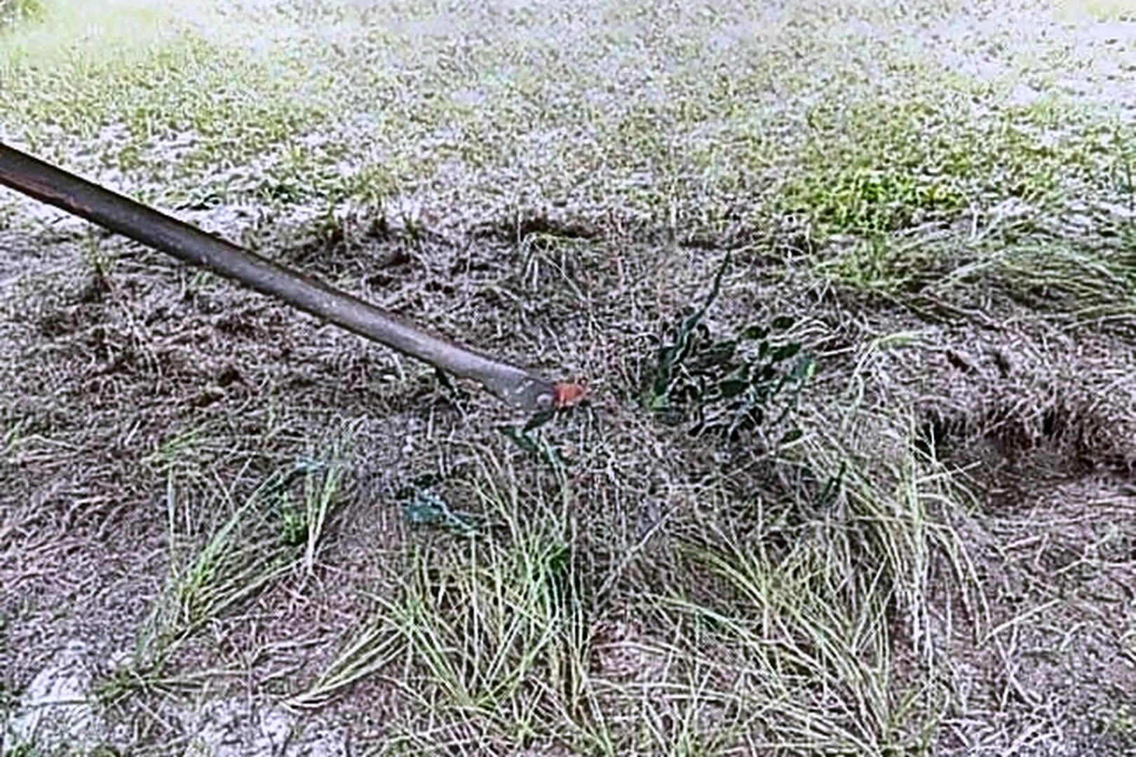 1995 EAST 38FT T/A - view 16 of 19