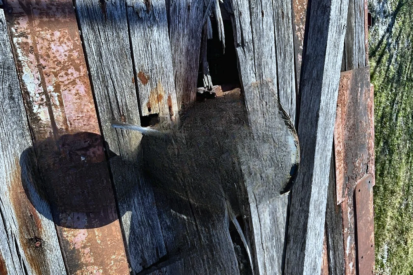 1960 AMERICAN 599-C - view 16 of 29