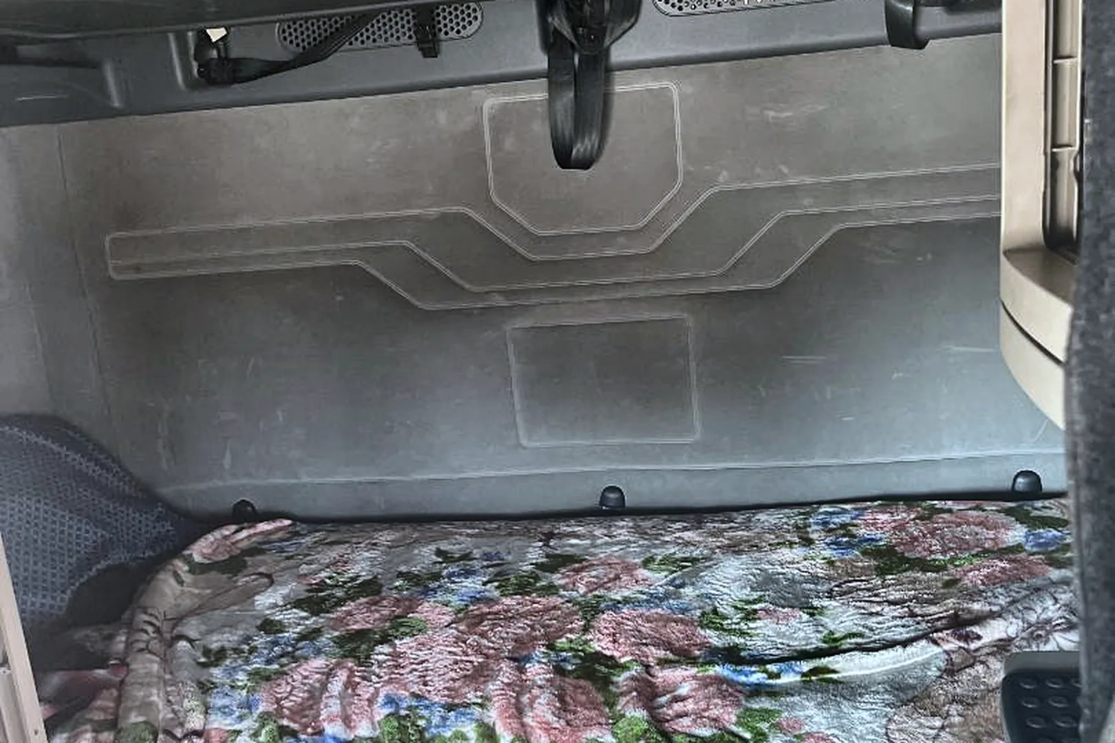 2018 FREIGHTLINER Cascadia 125 - view 14 of 16