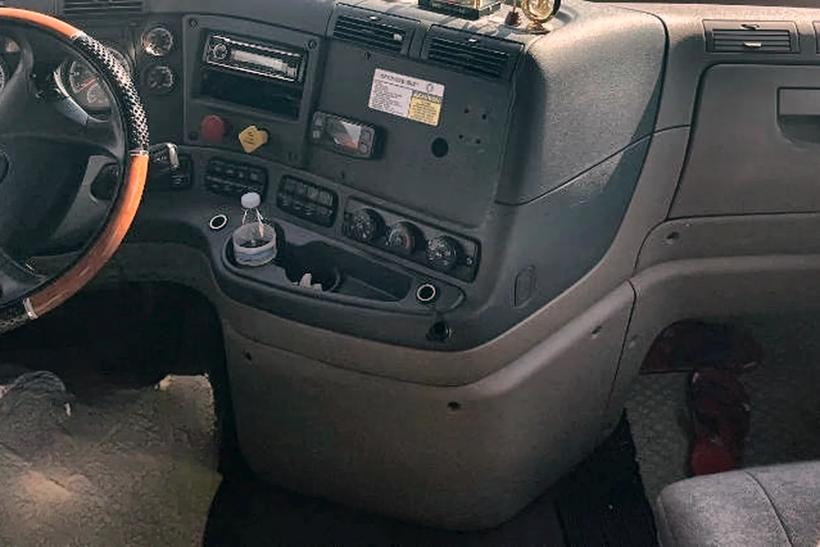 2018 FREIGHTLINER Cascadia 125 - view 10 of 16