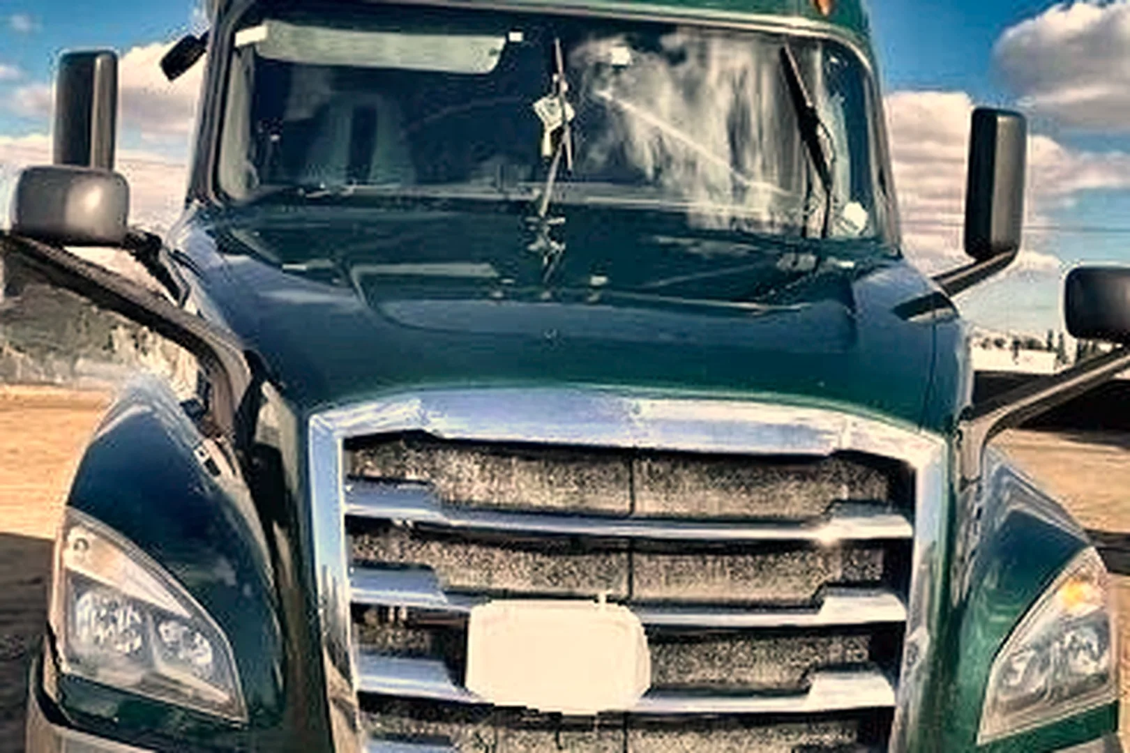 2019 FREIGHTLINER Cascadia 125 - view 8 of 13