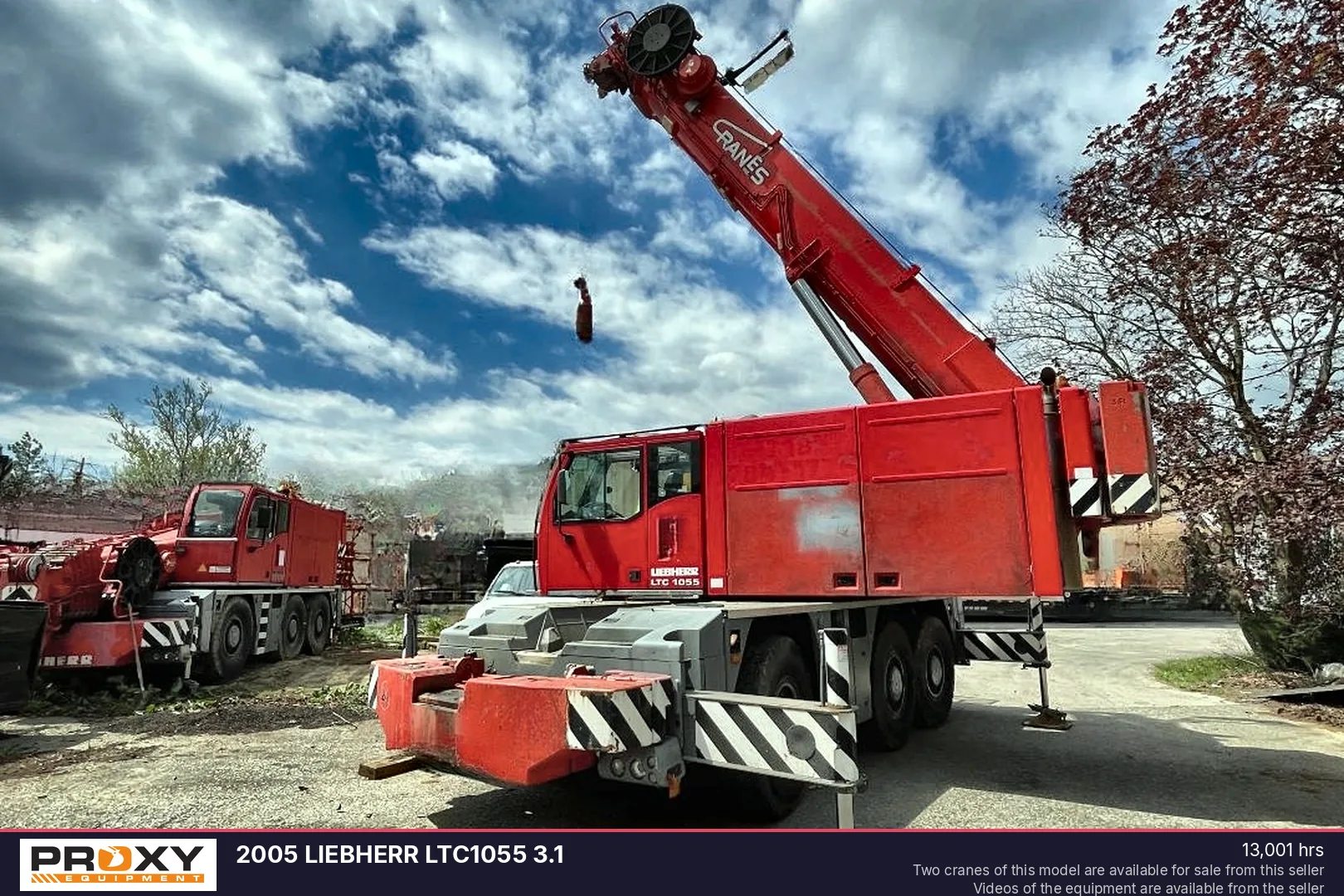 2005 LIEBHERR LTC1055 3.1 - view 3 of 29