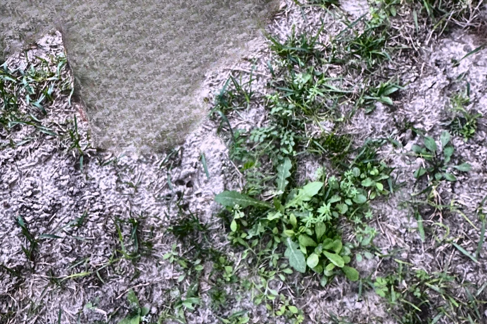 2006 KAWASAKI 65ZV - view 15 of 31