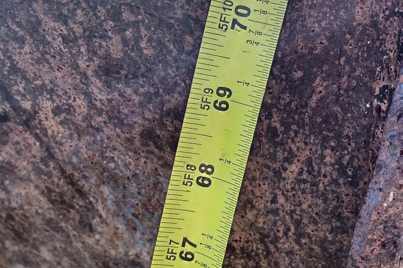 2012 CATERPILLAR 998G - view 11 of 20