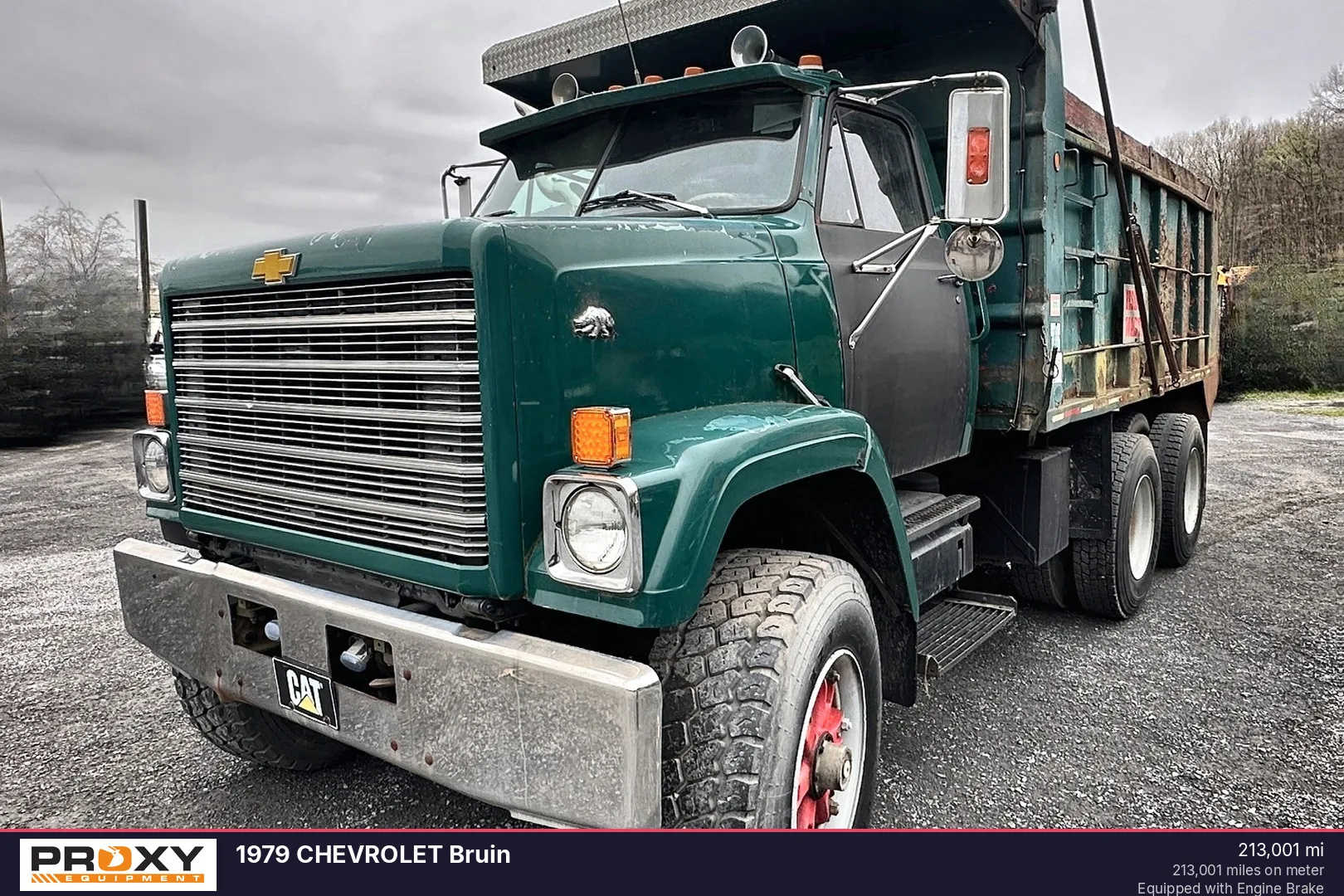 1979 CHEVROLET Bruin - view 1 of 48