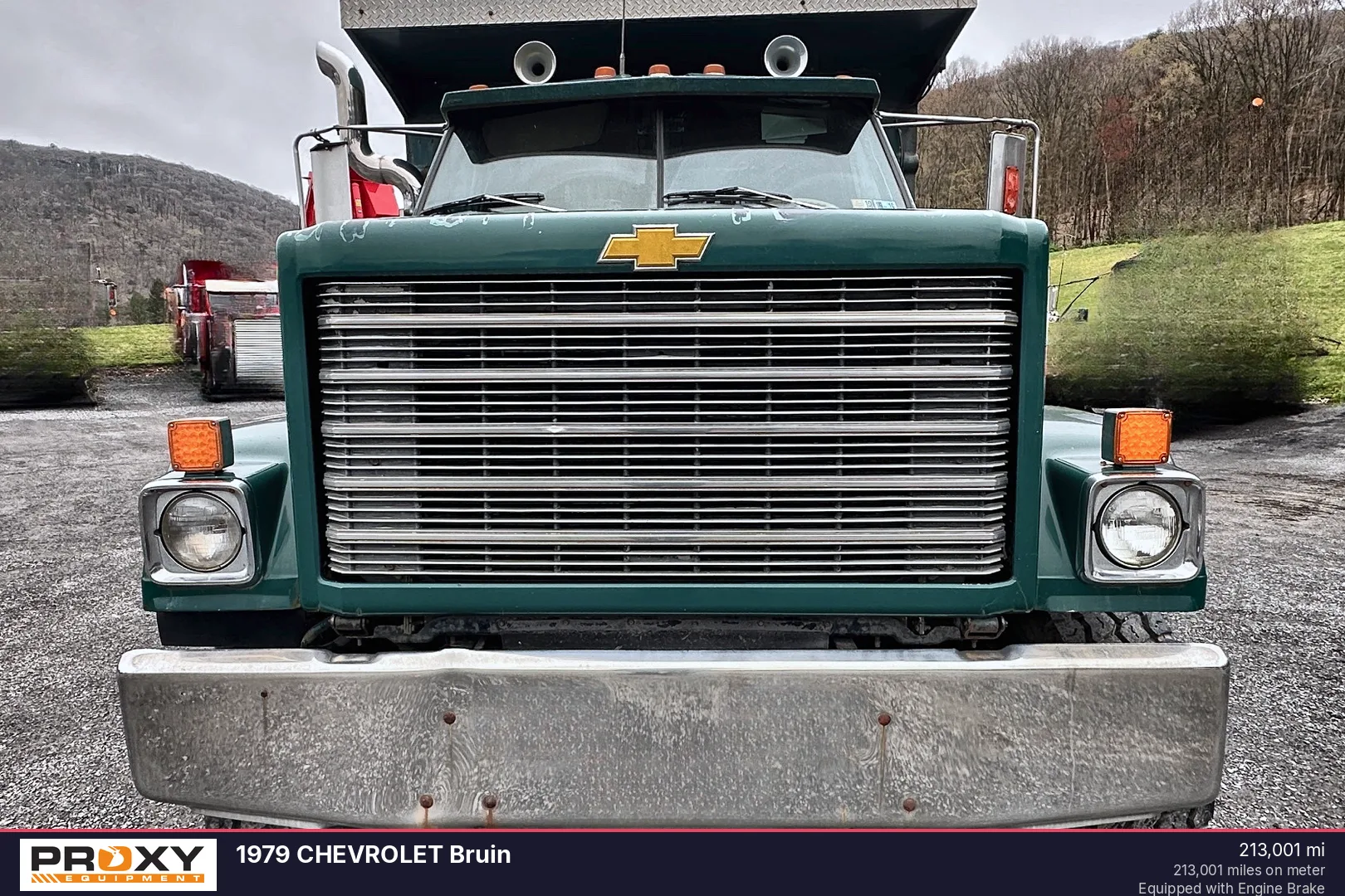 1979 CHEVROLET Bruin - view 2 of 48