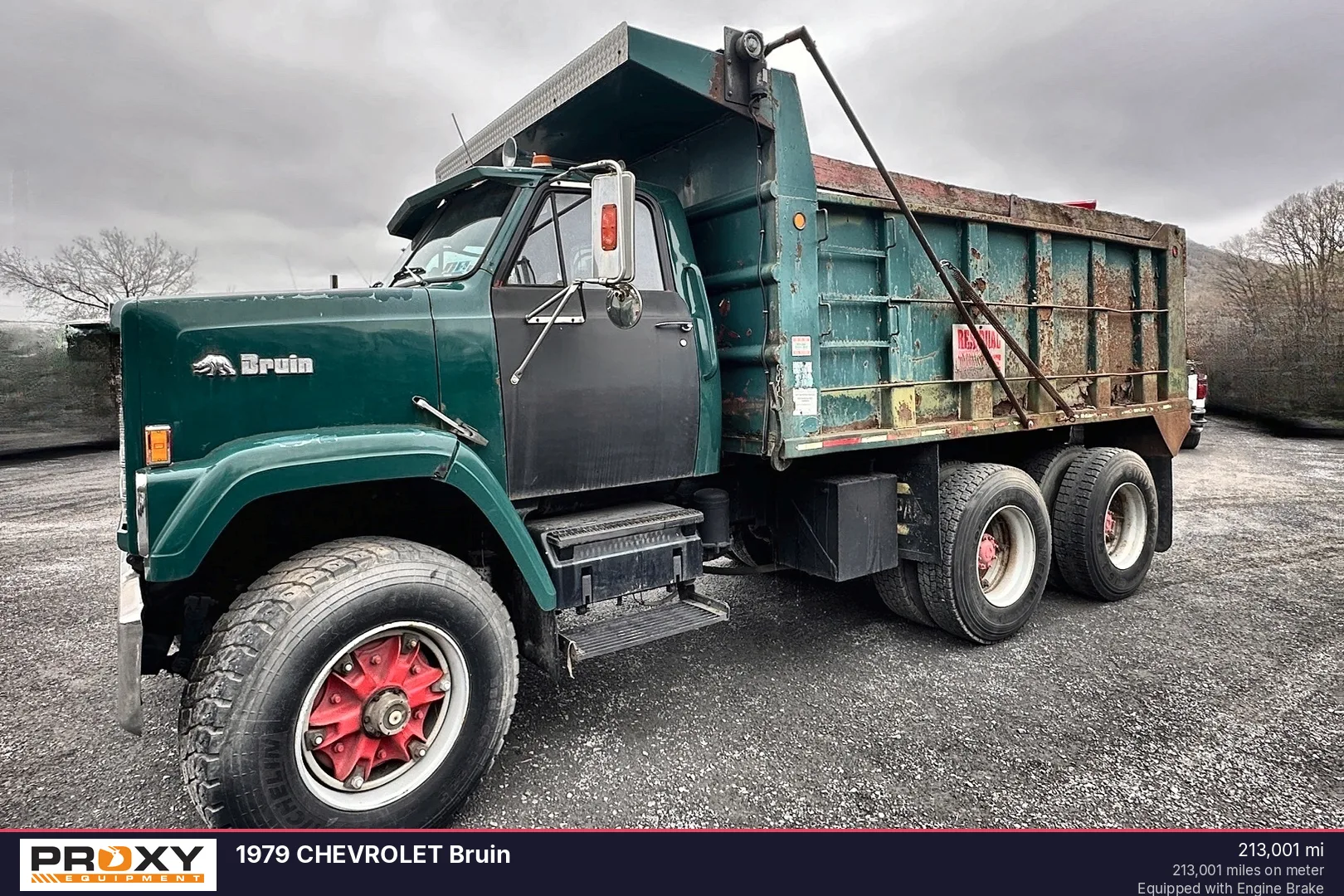 1979 CHEVROLET Bruin - view 3 of 48