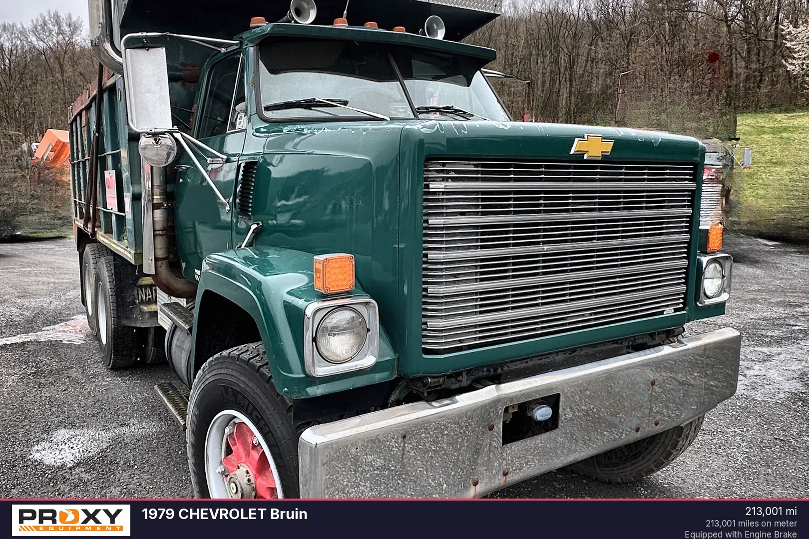 1979 CHEVROLET Bruin - view 5 of 48