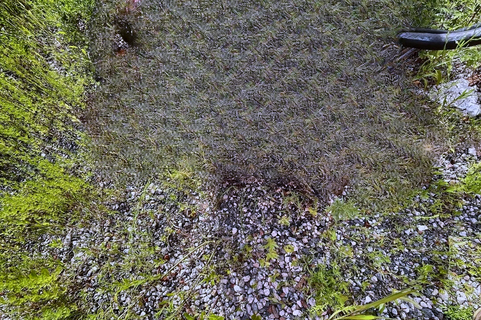 2014 LABOUNTY MDP50 Processor - view 17 of 19