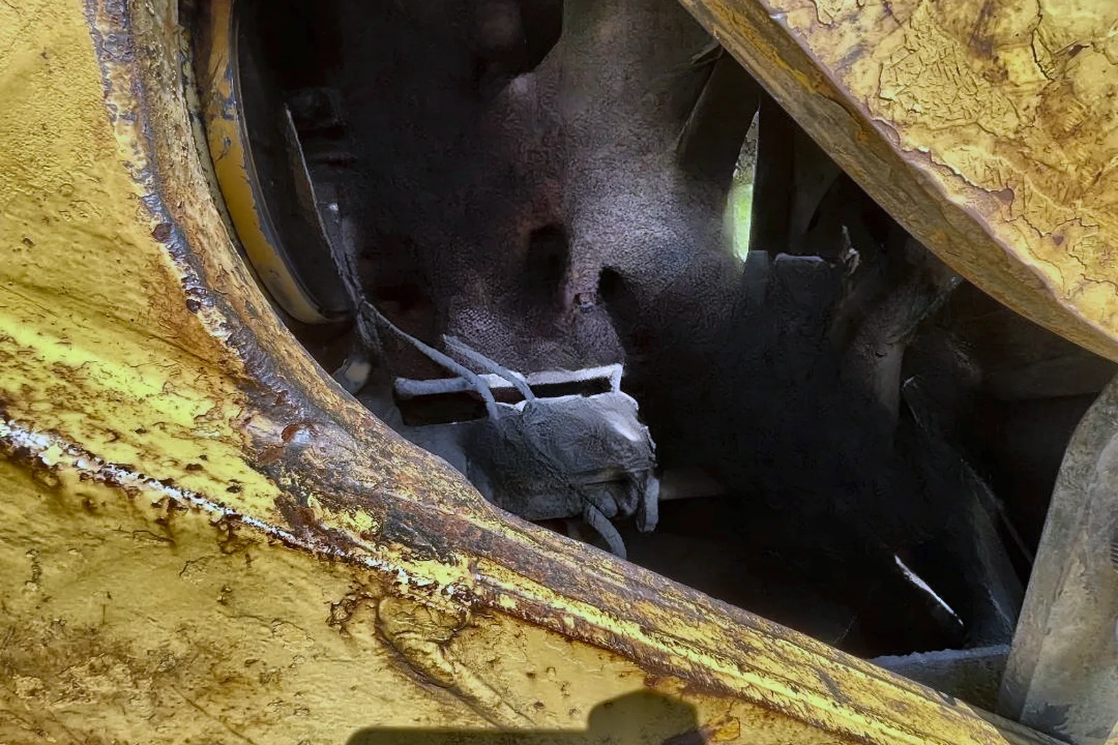 1965 CATERPILLAR 955H - view 17 of 35