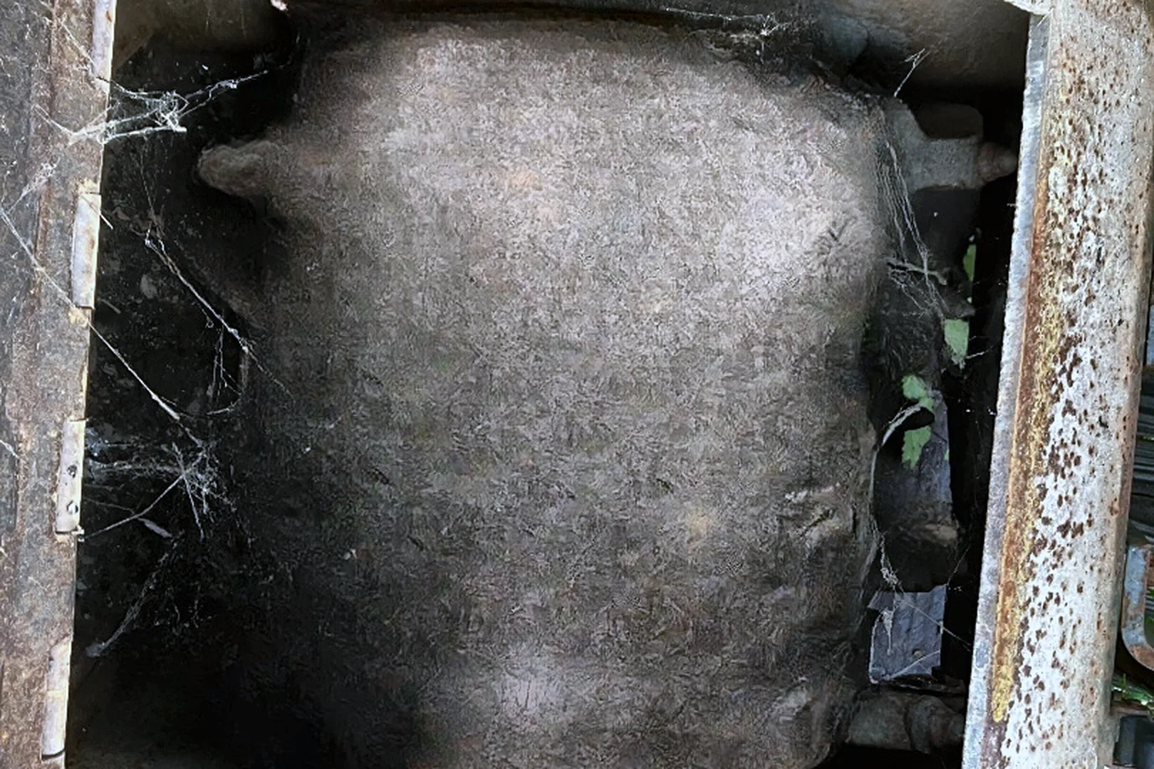 1999 BOBCAT 18 HYD PLANER - view 20 of 23