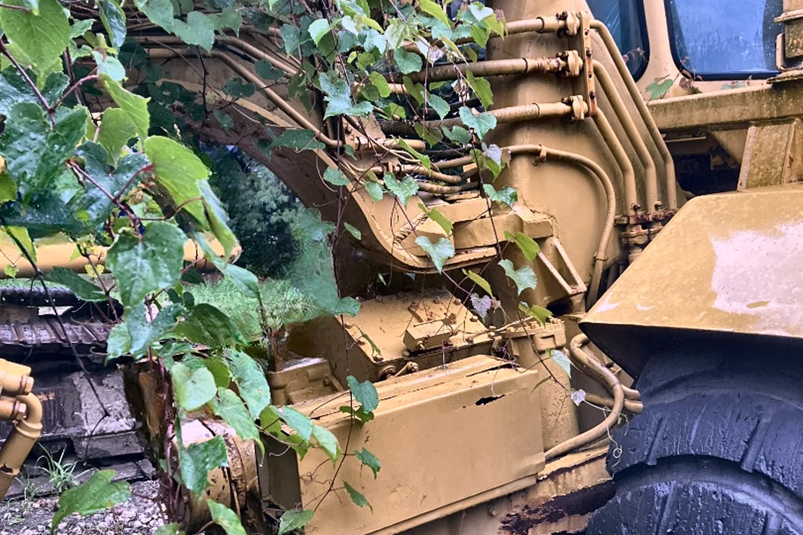 1974 CATERPILLAR 613 - view 6 of 59