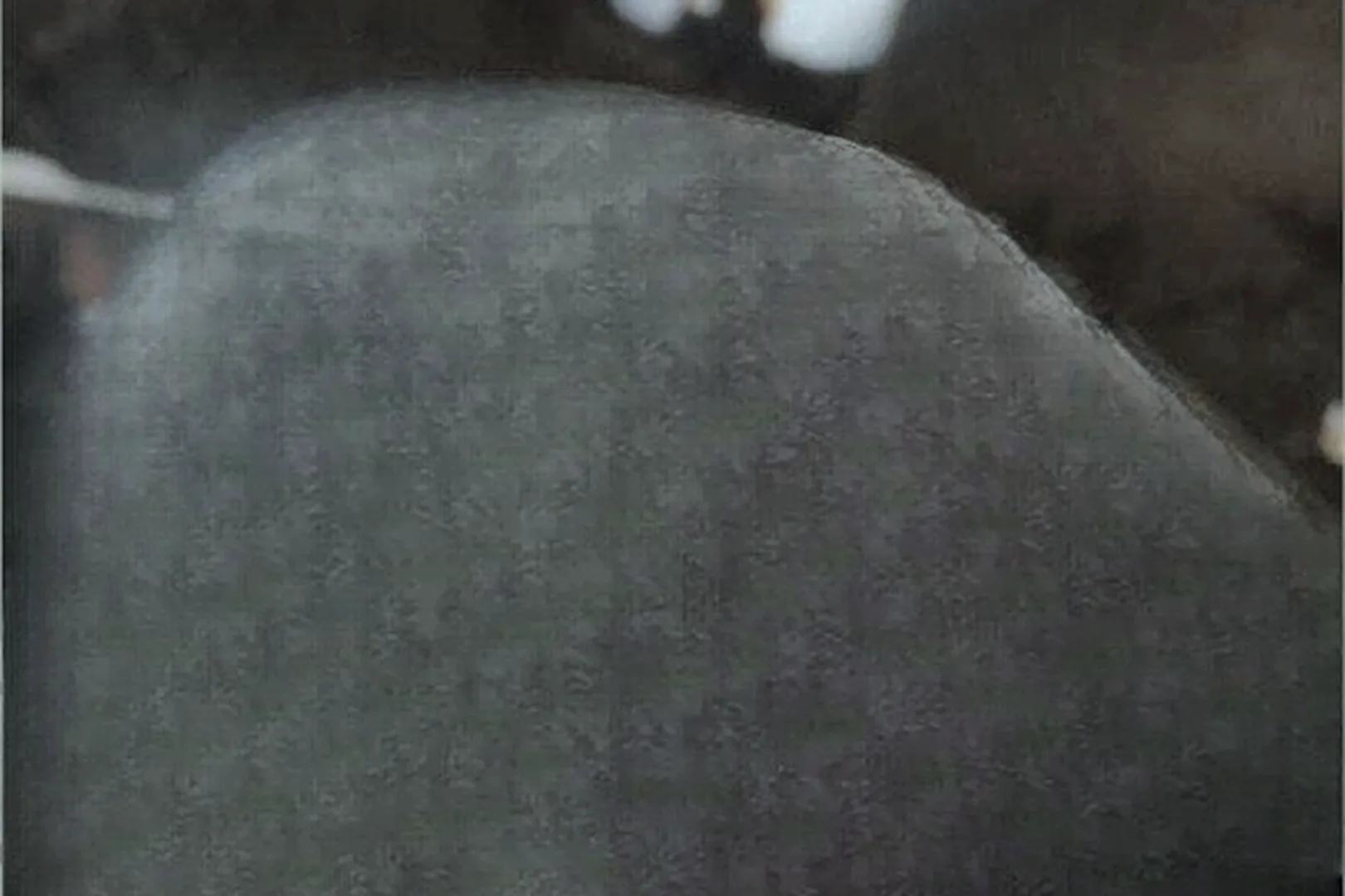 1972 GROVE TM800 - view 15 of 15