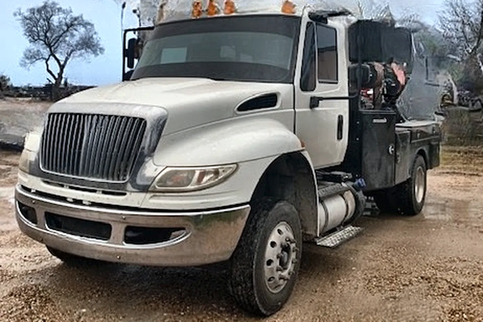 2017 INTERNATIONAL SBA LP 4300 - view 8 of 28