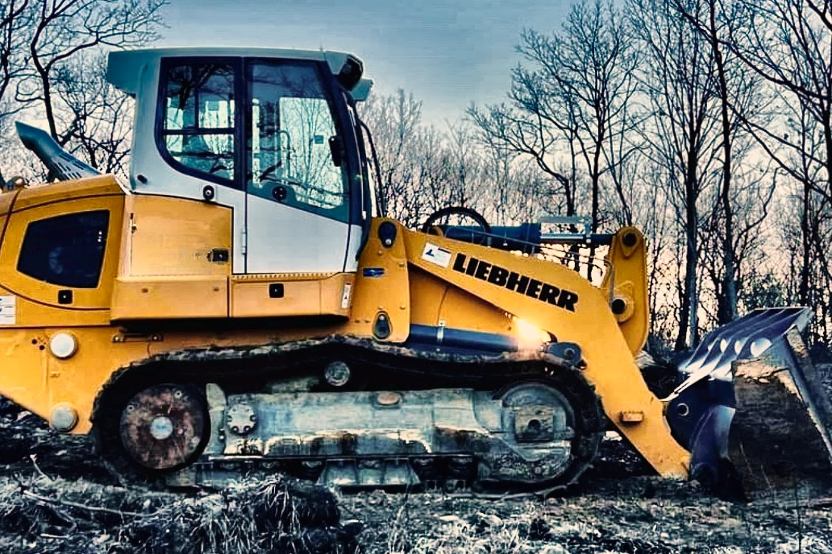 2018 LIEBHERR LR 636 - view 7 of 16