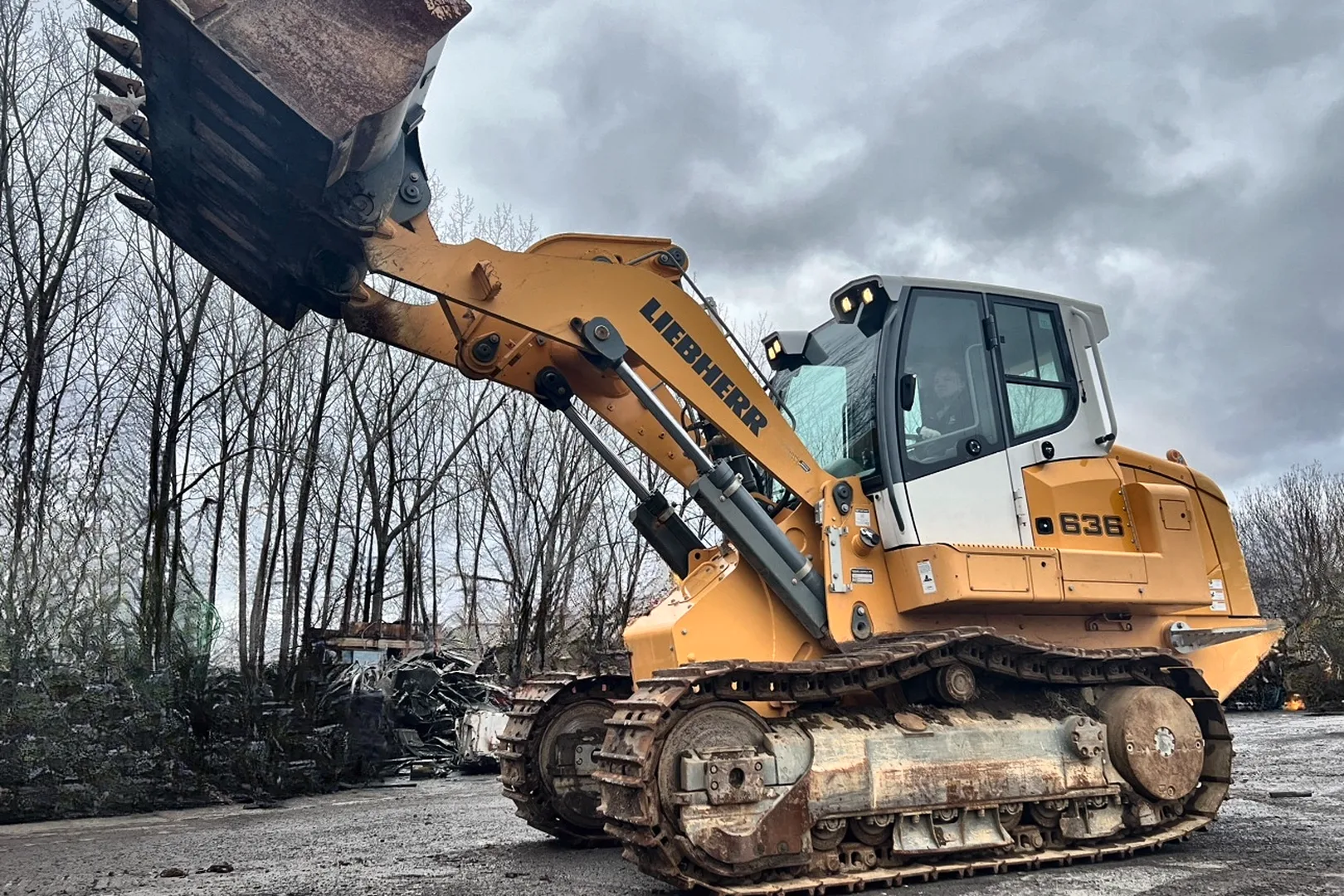 2018 LIEBHERR LR 636 - view 15 of 16