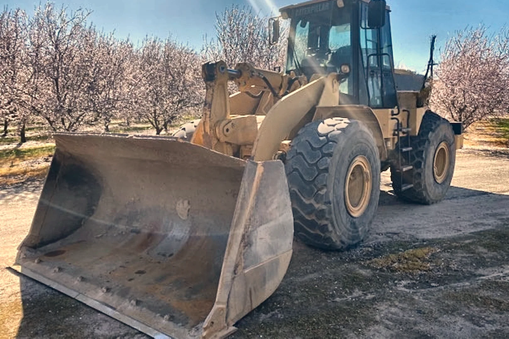 2002 CATERPILLAR 966G - view 2 of 2