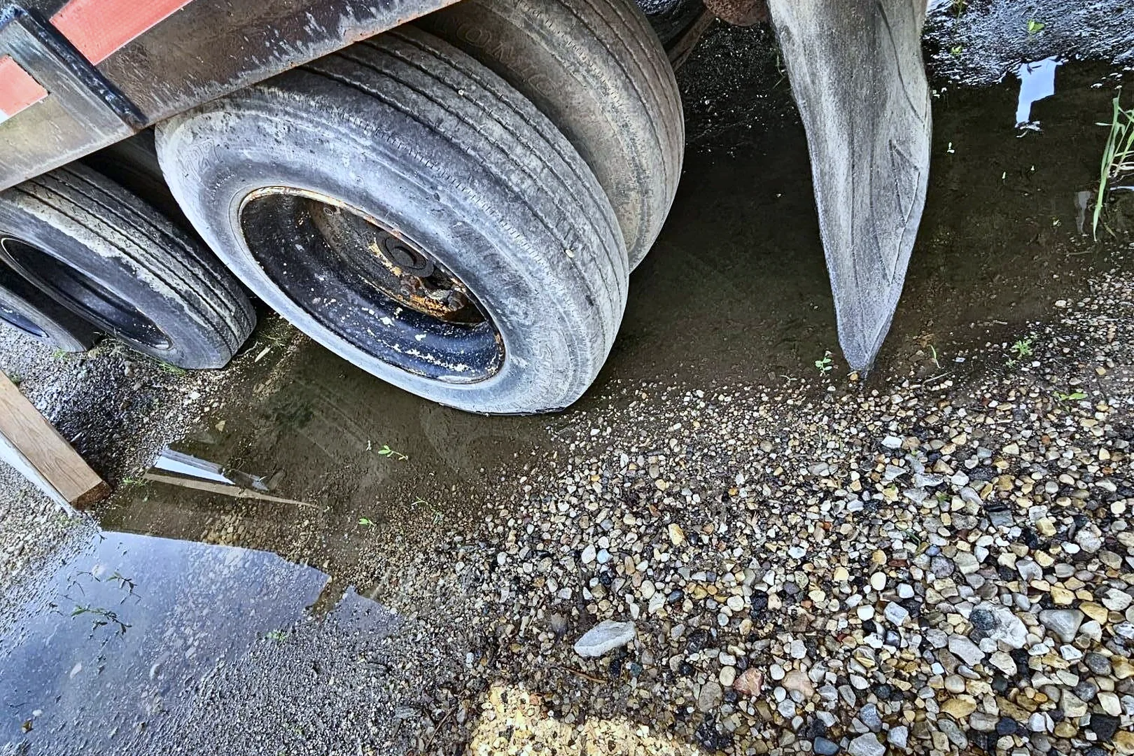 1997 INTERSTATE 46 TDL - view 6 of 24