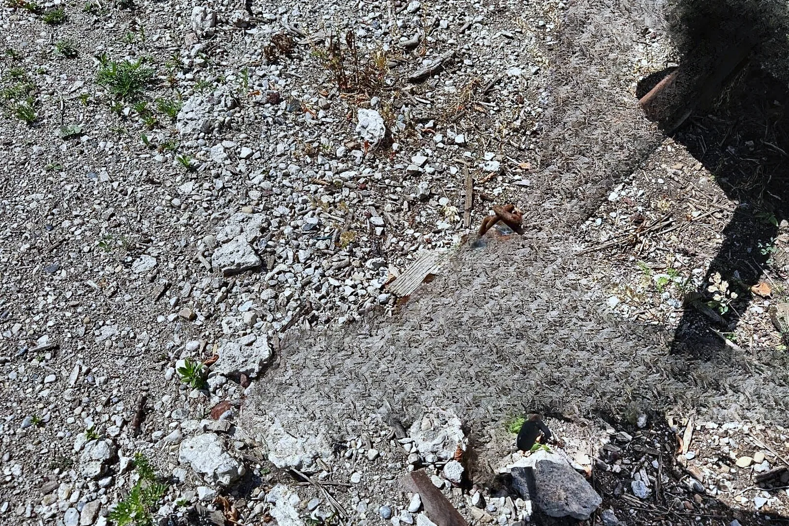 2002 FOREST RIVER CM612SA - view 12 of 13